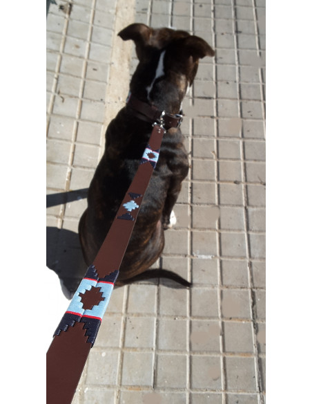 CORREA DE PERRO ARGENTINA