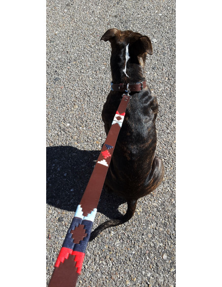 CORREA DE PERRO ARGENTINA