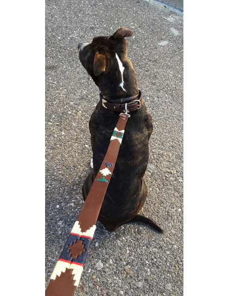 CORREA DE PERRO ARGENTINA