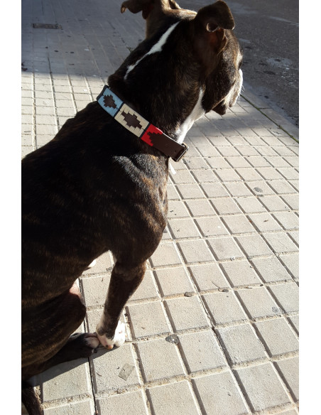 COLLAR DE PERRO ARGENTINO