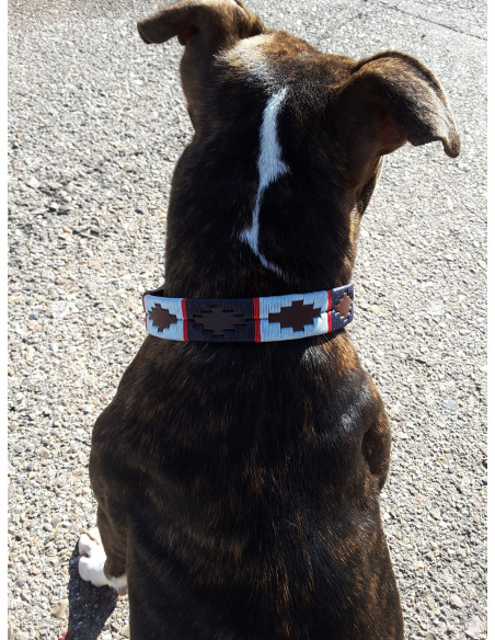 COLLAR DE PERRO ARGENTINO