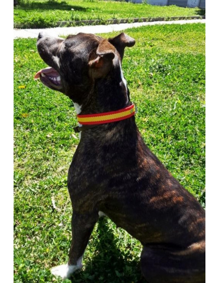 CLAR DE PERRO ESPAÑA